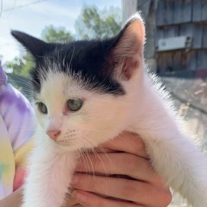 Meet your Posher, Taylor